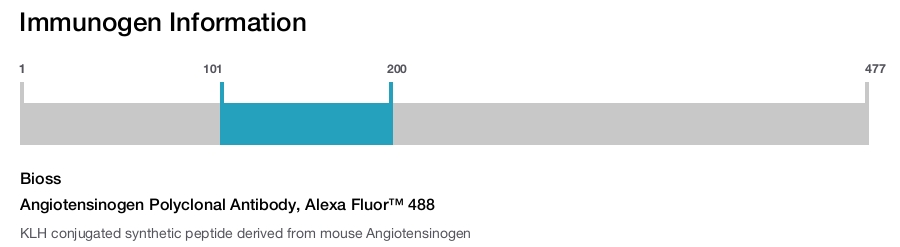 Angiotensinogen Polyclonal Antibody, Alexa Fluor&trade; 488