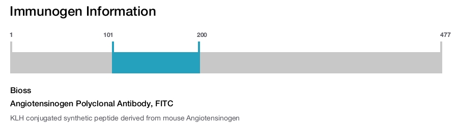 Angiotensinogen Polyclonal Antibody, FITC