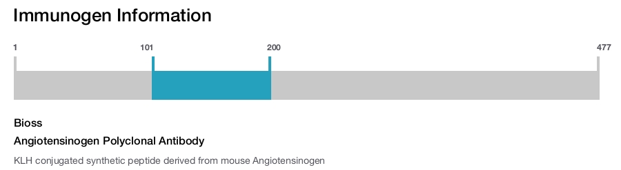 Angiotensinogen Polyclonal Antibody