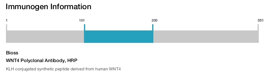 WNT4 Polyclonal Antibody, HRP