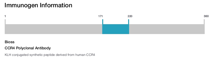 CCR4 Polyclonal Antibody