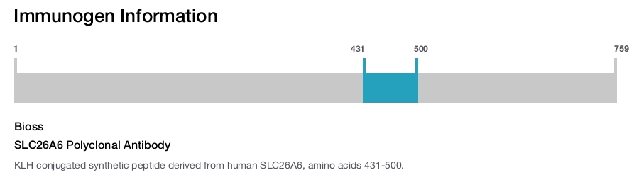 SLC26A6 Polyclonal Antibody
