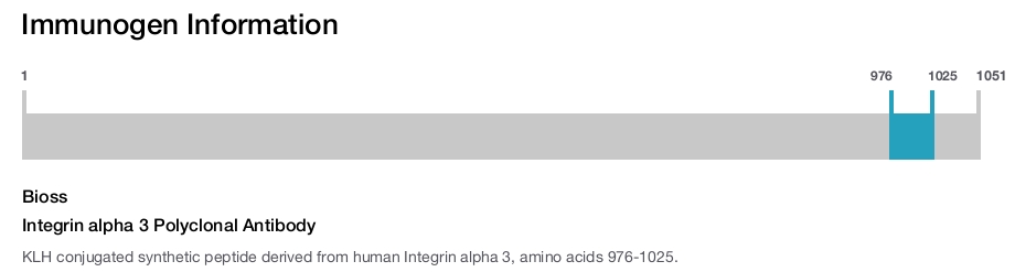 Integrin alpha 3 Polyclonal Antibody