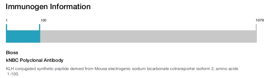kNBC Polyclonal Antibody