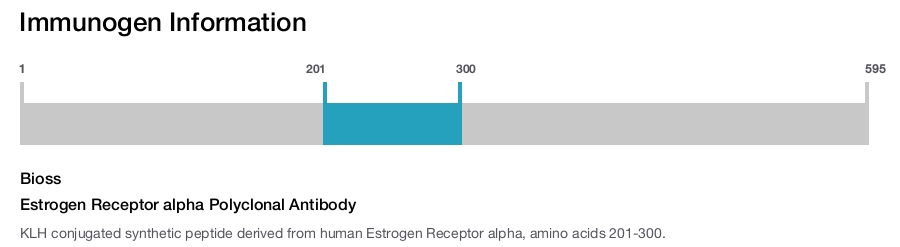Estrogen Receptor alpha Polyclonal Antibody