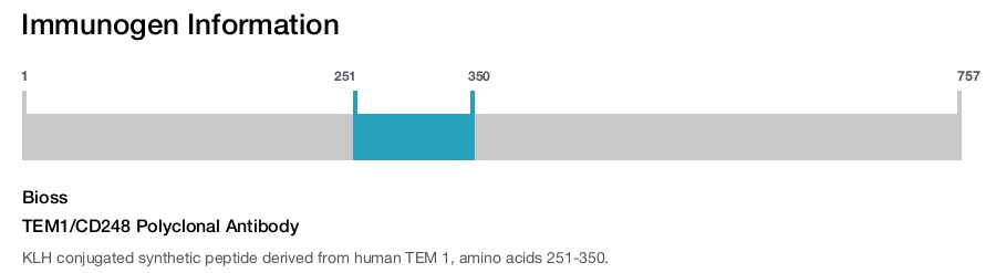 TEM1/CD248 Polyclonal Antibody