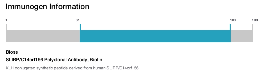 SLIRP/C14orf156 Polyclonal Antibody, Biotin