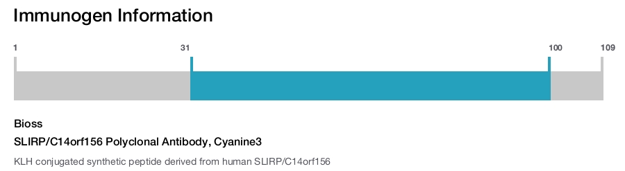 SLIRP/C14orf156 Polyclonal Antibody, Cyanine3