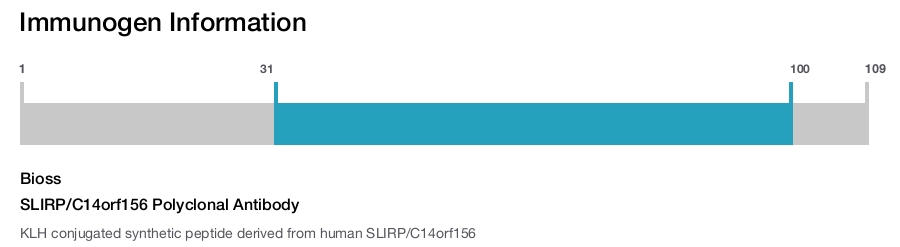 SLIRP/C14orf156 Polyclonal Antibody