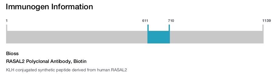 RASAL2 Polyclonal Antibody, Biotin