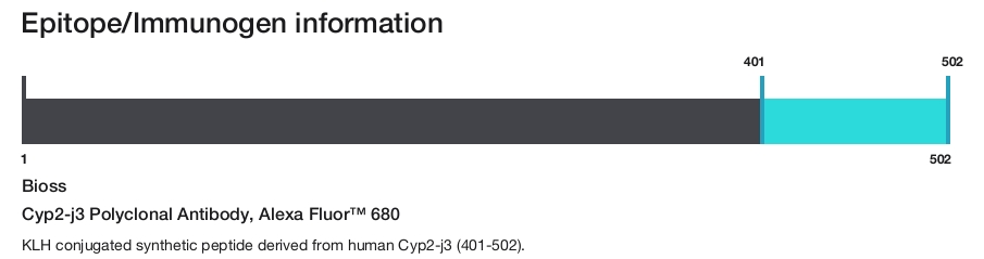 Cyp2-j3 Polyclonal Antibody, Alexa Fluor&trade; 680