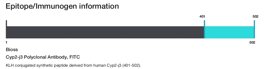 Cyp2-j3 Polyclonal Antibody, FITC