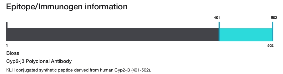 Cyp2-j3 Polyclonal Antibody