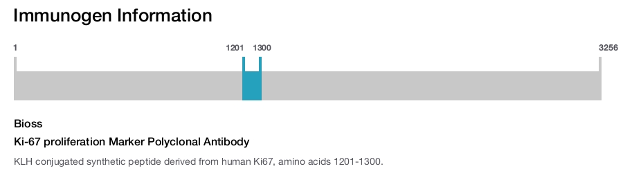 Ki-67 proliferation Marker Polyclonal Antibody