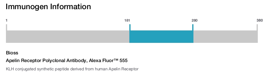 Apelin Receptor Polyclonal Antibody, Alexa Fluor&trade; 555