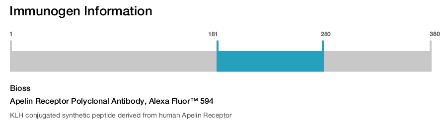 Apelin Receptor Polyclonal Antibody, Alexa Fluor&trade; 594