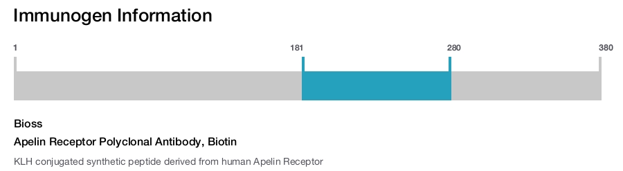 Apelin Receptor Polyclonal Antibody, Biotin
