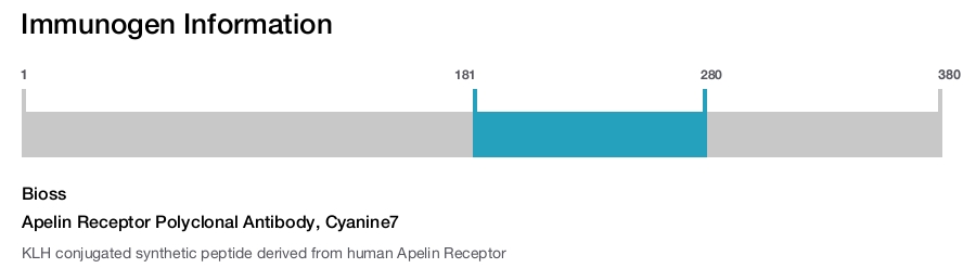 Apelin Receptor Polyclonal Antibody, Cyanine7