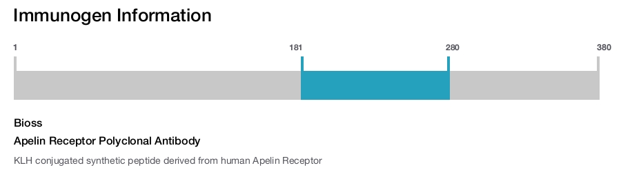 Apelin Receptor Polyclonal Antibody