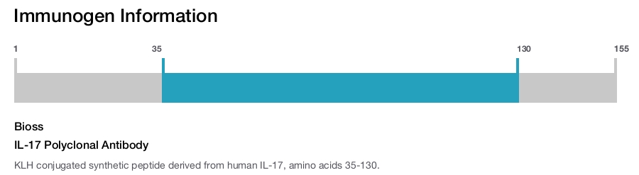 IL-17 Polyclonal Antibody