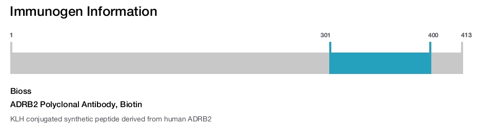 ADRB2 Polyclonal Antibody, Biotin