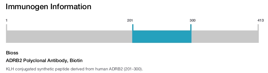 ADRB2 Polyclonal Antibody, Biotin