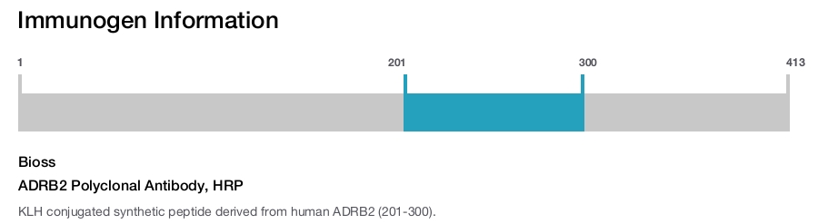 ADRB2 Polyclonal Antibody, HRP