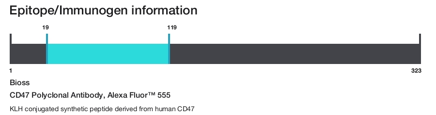CD47 Polyclonal Antibody, Alexa Fluor&trade; 555