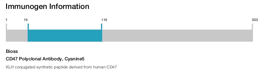 CD47 Polyclonal Antibody, Cyanine5