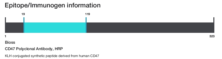 CD47 Polyclonal Antibody, HRP