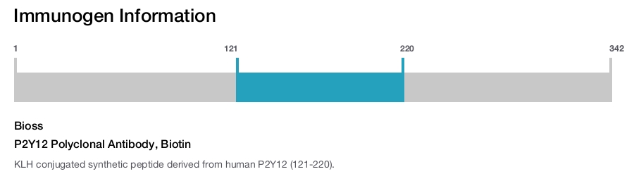 P2Y12 Polyclonal Antibody, Biotin