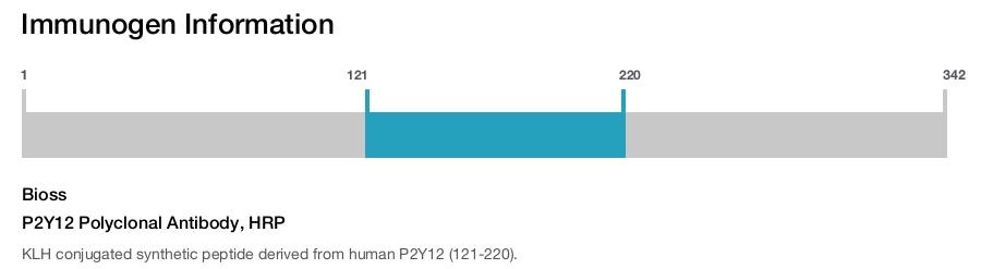 P2Y12 Polyclonal Antibody, HRP