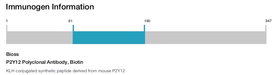 P2Y12 Polyclonal Antibody, Biotin