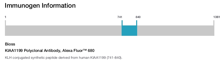 KIAA1199 Polyclonal Antibody, Alexa Fluor&trade; 680