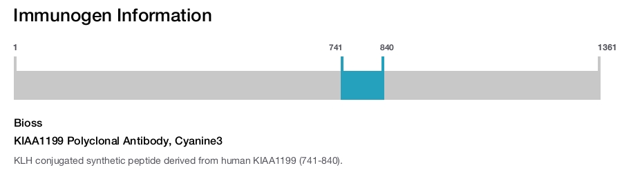 KIAA1199 Polyclonal Antibody, Cyanine3