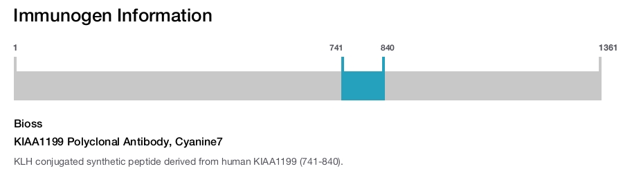 KIAA1199 Polyclonal Antibody, Cyanine7
