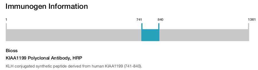 KIAA1199 Polyclonal Antibody, HRP