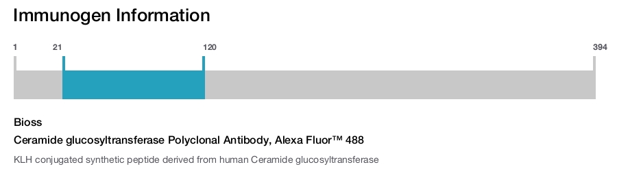 Ceramide glucosyltransferase Polyclonal Antibody, Alexa Fluor&trade; 488