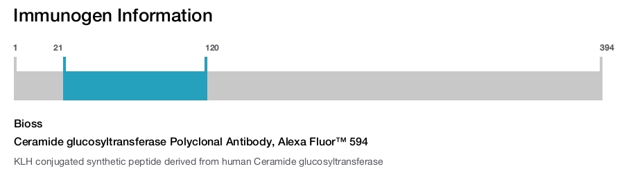Ceramide glucosyltransferase Polyclonal Antibody, Alexa Fluor&trade; 594