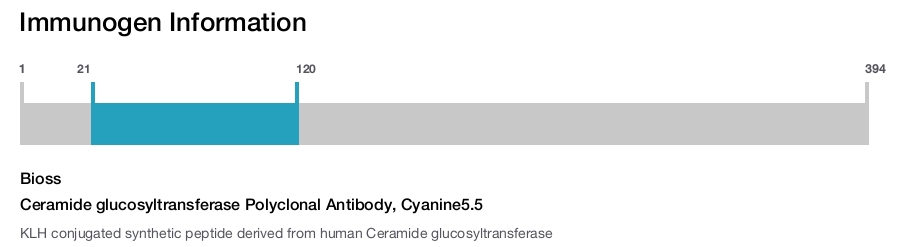 Ceramide glucosyltransferase Polyclonal Antibody, Cyanine5.5