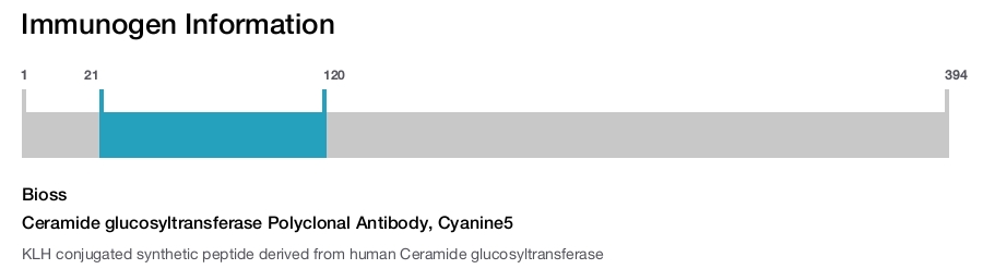 Ceramide glucosyltransferase Polyclonal Antibody, Cyanine5