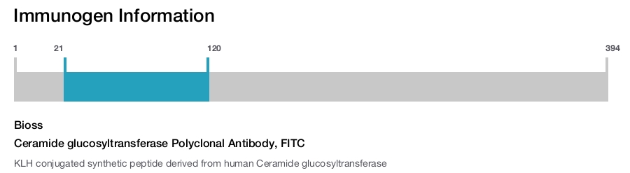 Ceramide glucosyltransferase Polyclonal Antibody, FITC