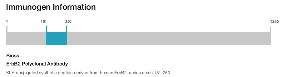 ErbB2 Polyclonal Antibody