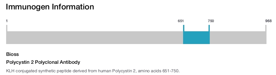 Polycystin 2 Polyclonal Antibody
