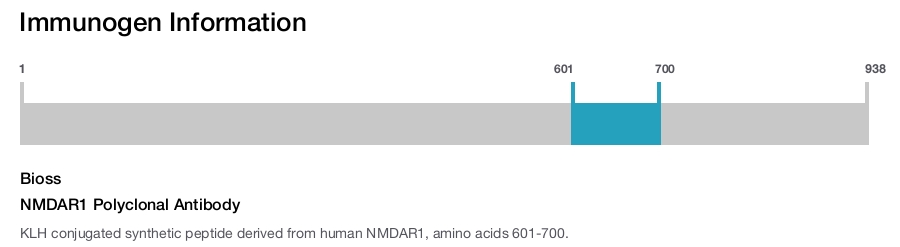 NMDAR1 Polyclonal Antibody