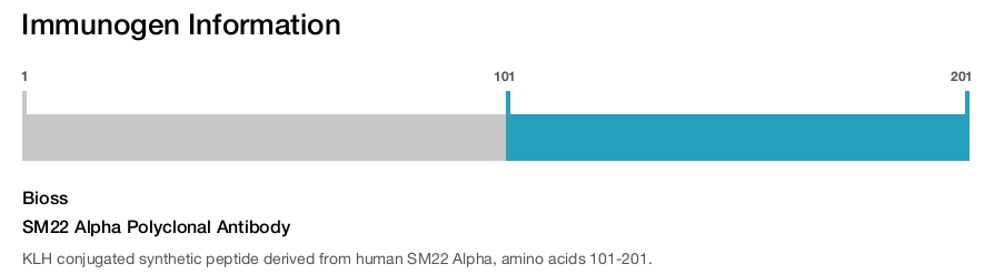 SM22 Alpha Polyclonal Antibody