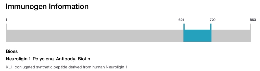 Neuroligin 1 Polyclonal Antibody, Biotin