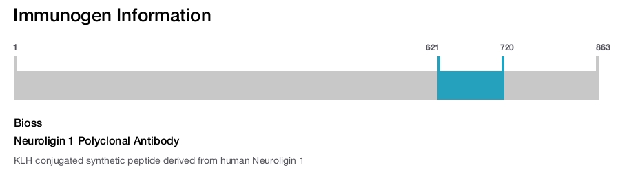 Neuroligin 1 Polyclonal Antibody