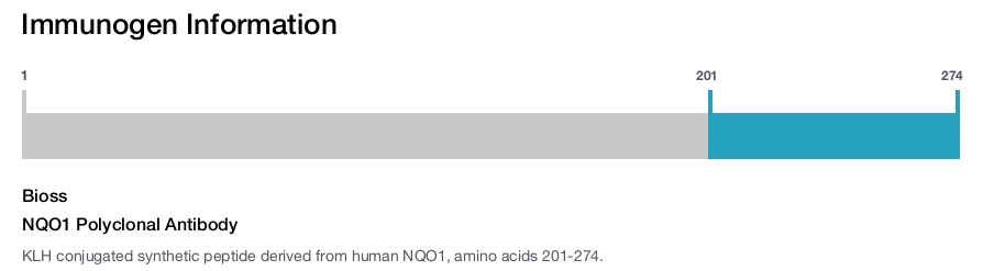NQO1 Polyclonal Antibody