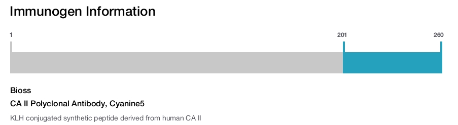 CA II Polyclonal Antibody, Cyanine5